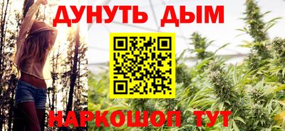 гидра Кингисепп