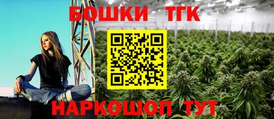 гидра Кингисепп