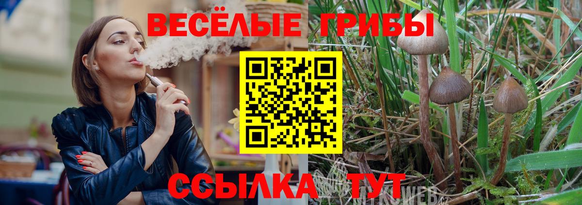 Псилоцибиновые грибы Psilocybine cubensis  Вход с VPN  Лесозаводск 